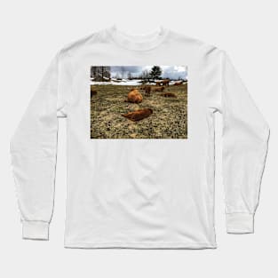 Scottish Highland Cattle Cows and Calves 1747 Long Sleeve T-Shirt